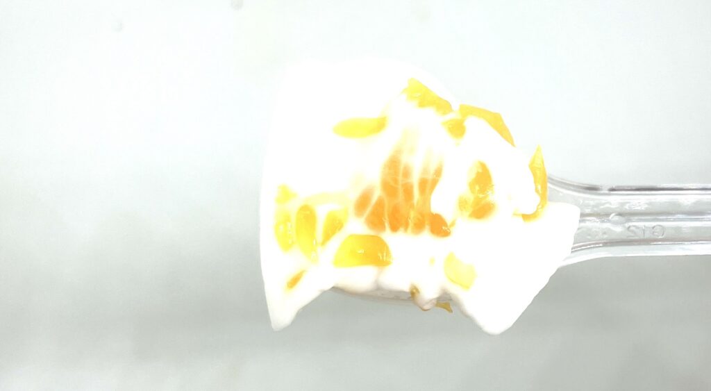 seven-eleven-sweets-milk-agar-mandarin-orange-eating