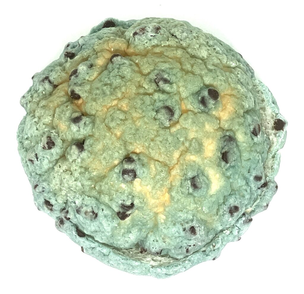 familymart-sweet-choco-mint-flavor-melon-pan-up