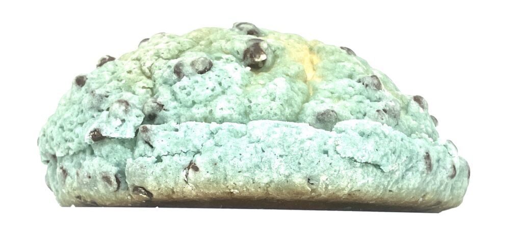 familymart-sweet-choco-mint-flavor-melon-pan-side