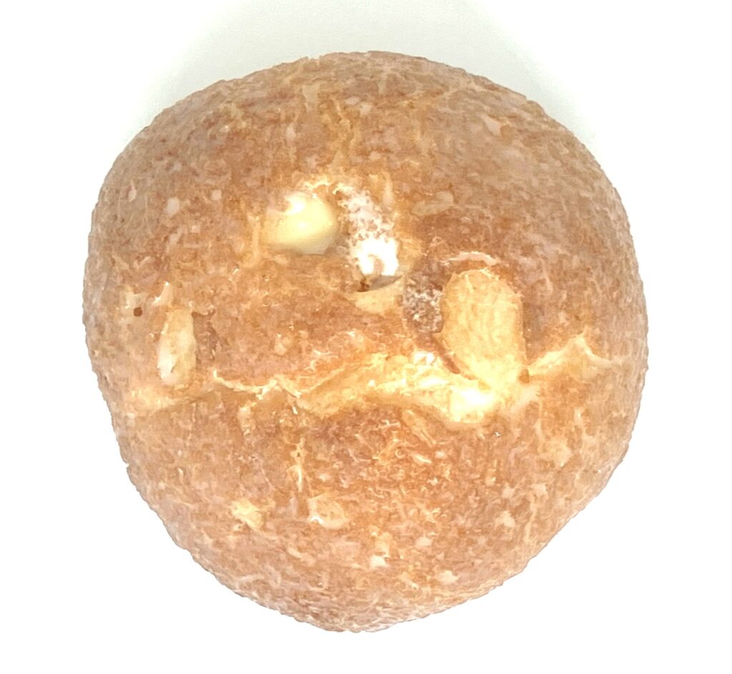 familymart-sweets-salt-lemon-cookie-puff-up