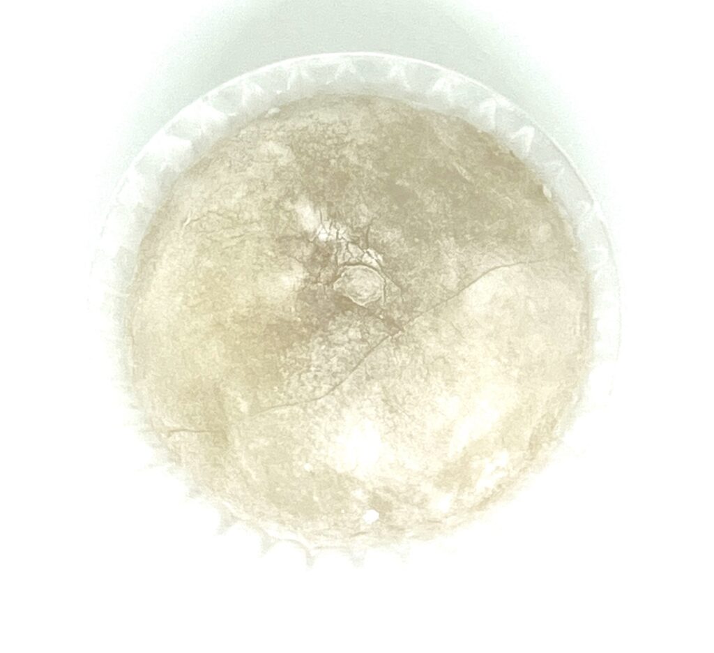 seven-eleven-sweets-cookie-cream-broken-starch-jelly-up