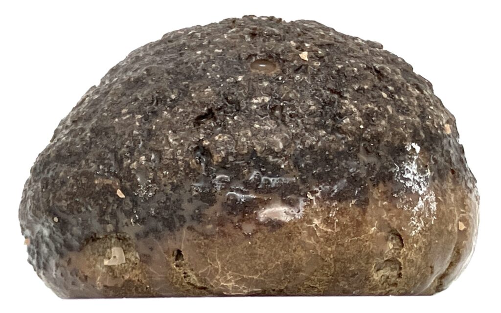 familymart-sweets-caramel-chocolate-cream-puff-side