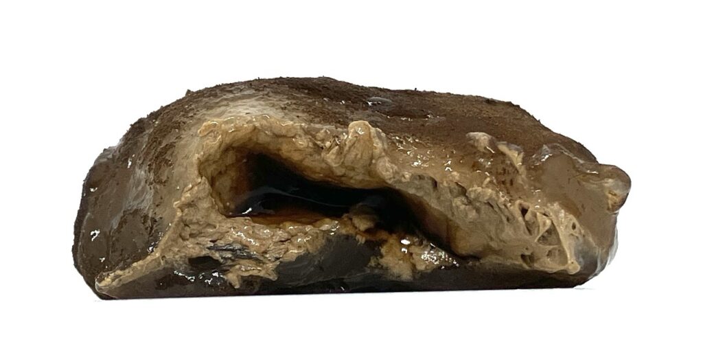 seveneleven-sweets-jelly-roasted-green-tea-eating 