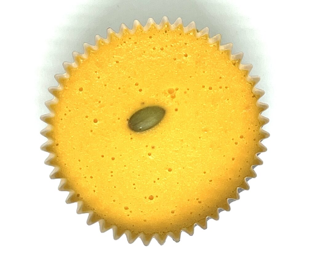 familymart-sweet-pumpkin-cheesecake-up
